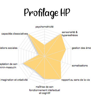 Test de profilage HP, Sandrine Rouget