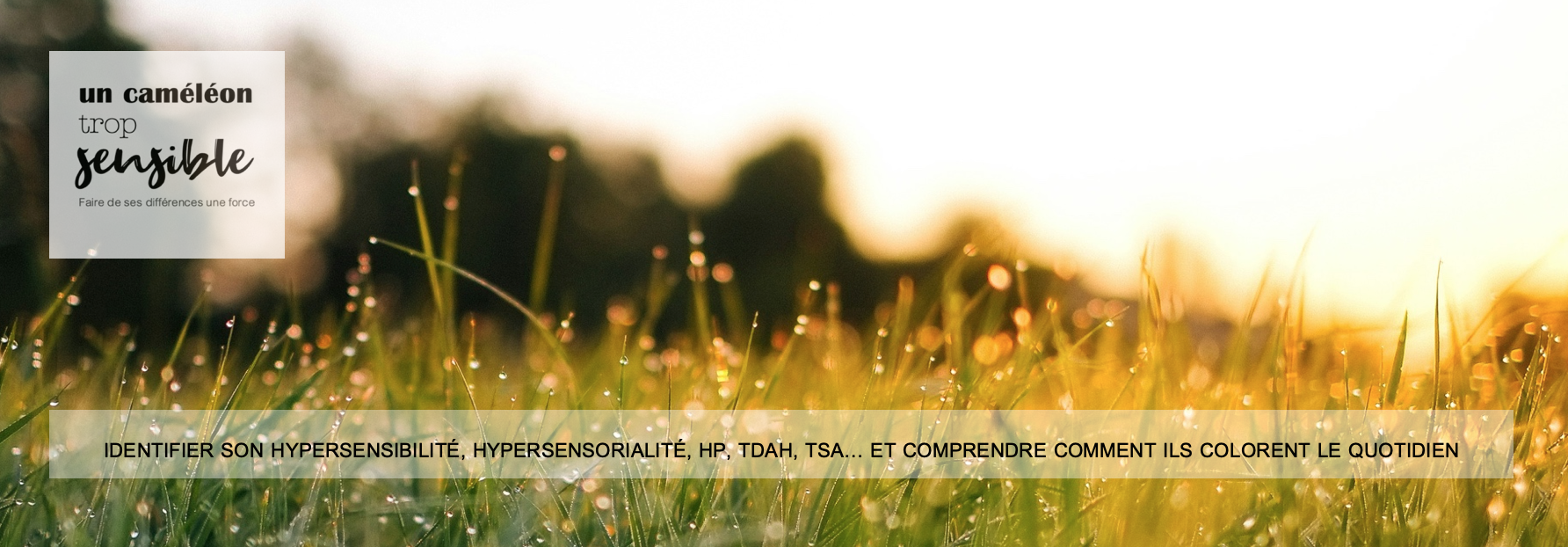 Bilans pour profils atypiques, hypersensibles, hypersensoriels, haut potentiel, avec TDA-H, TSA, DYS